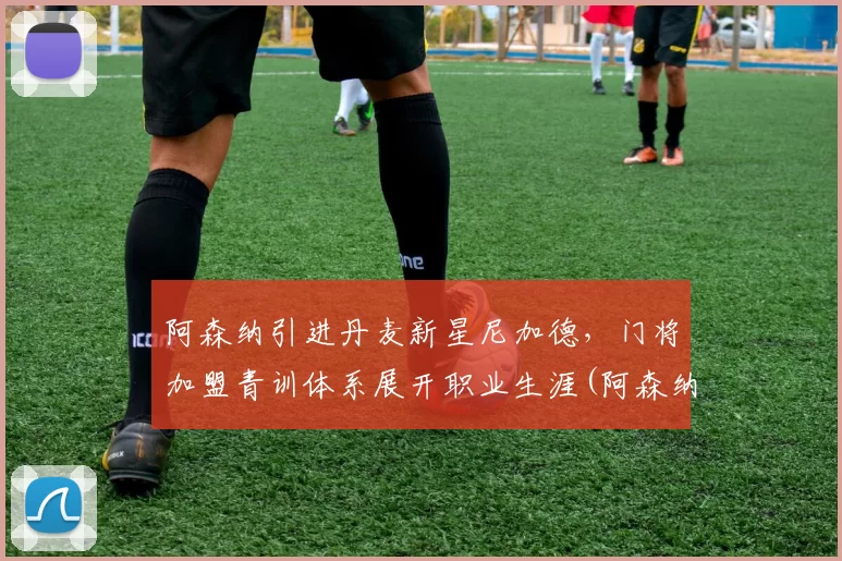 阿森纳引进丹麦新星尼加德，门将加盟青训体系展开职业生涯(阿森纳德尼尔森)